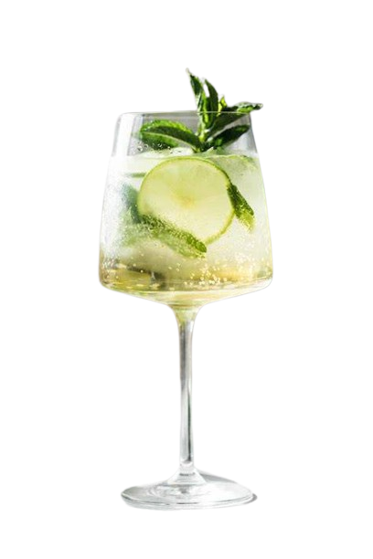 St Germain Spritz